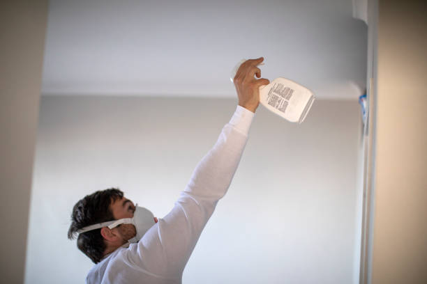 Kingston, RI Mold Removal Company