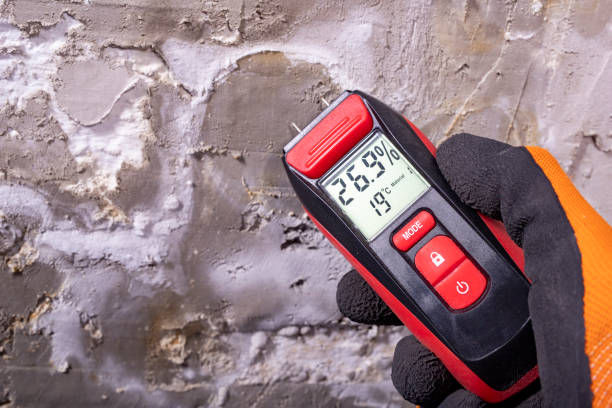 Home Mold Removal in Kingston, RI