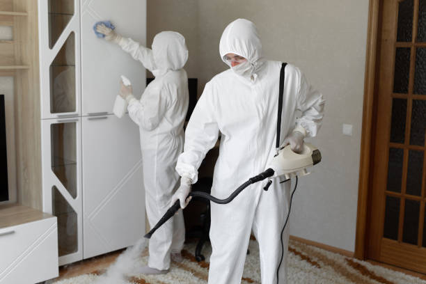 Best Home Mold Removal  in Kingston, RI