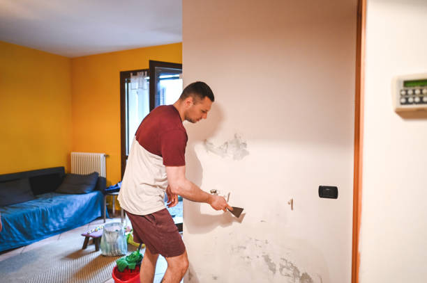 Best Mold Testing  in Kingston, RI